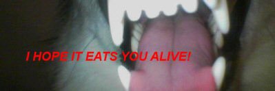 shortfvsed's profile banner image