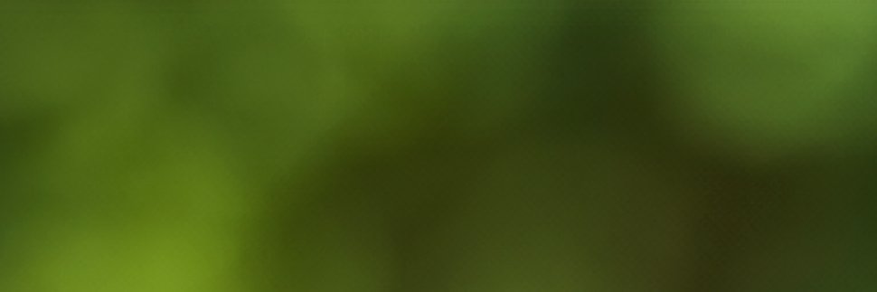 Alberto López banner