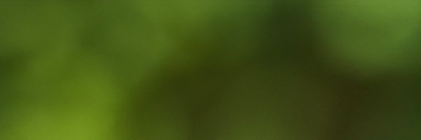 bertous Profile Banner