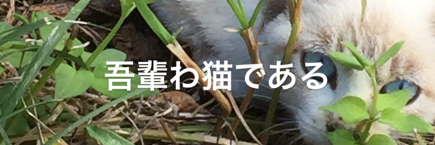 masahiro_06's profile banner image