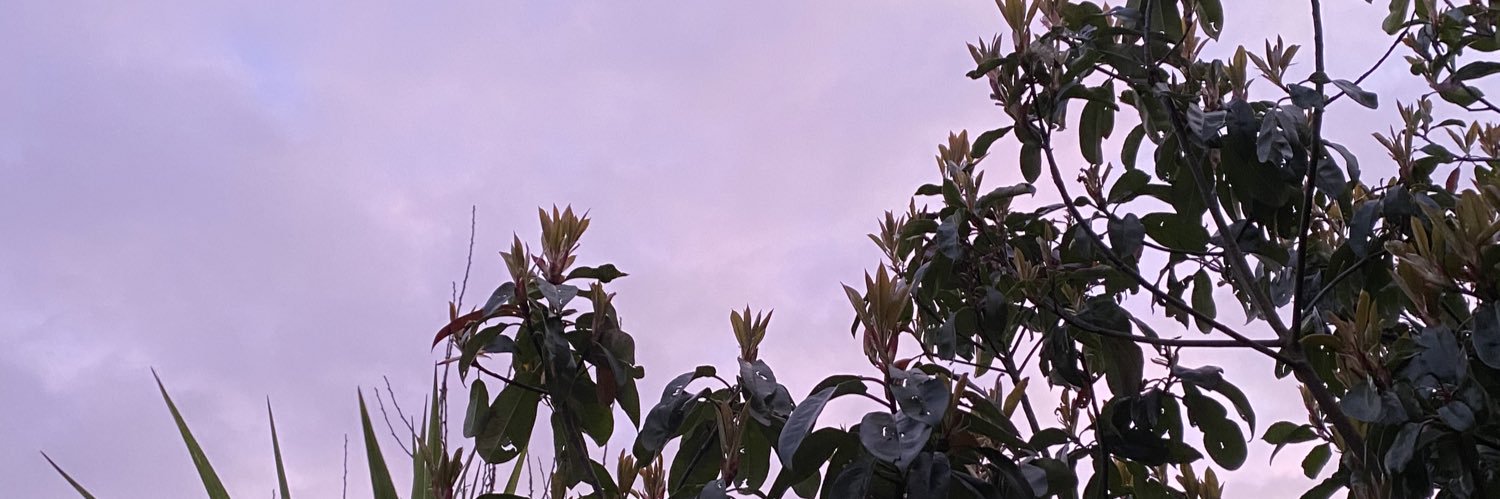 sofiawisemann's profile banner image