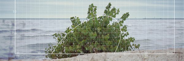 Julien Palier banner