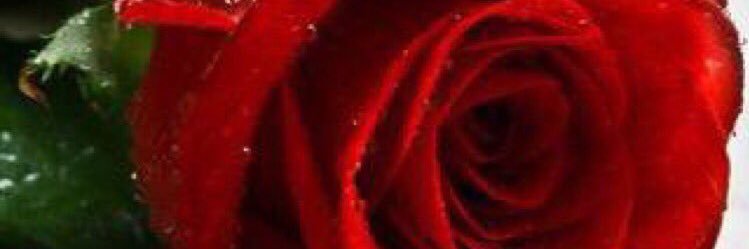 looloo1474's profile banner image