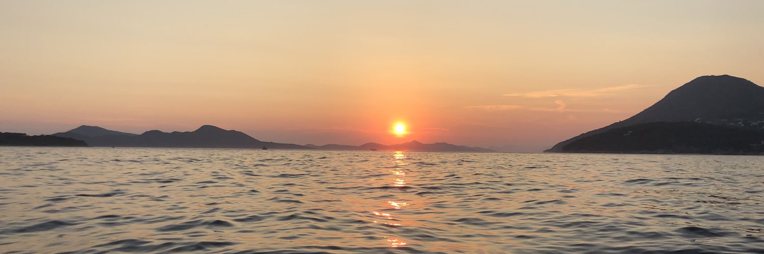 Ryan Kankowski banner