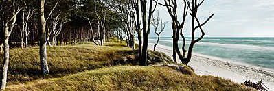 Jochen Wallisch banner