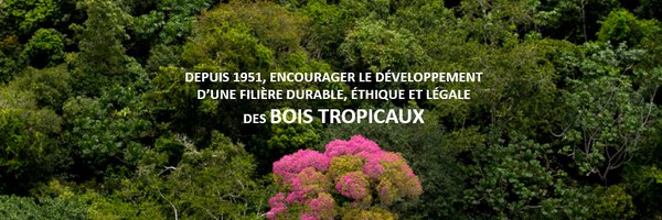 ATIBT_Asso Profile Banner