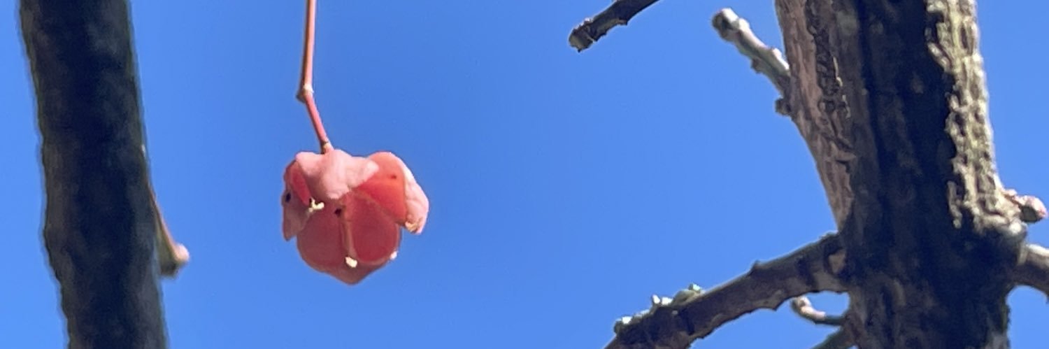 KazuY banner