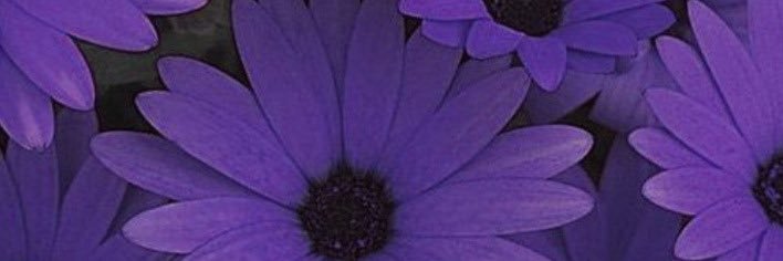 _genesisnicolle's profile banner image