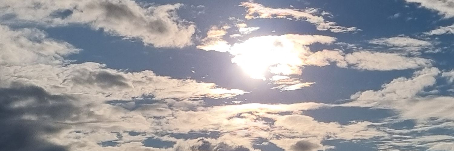 shayanleo's profile banner image