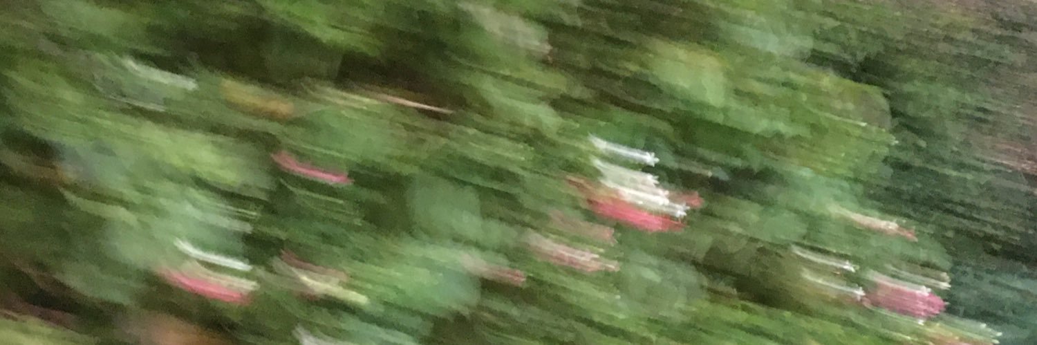 nat ˚₊·—̳͟͞͞ banner