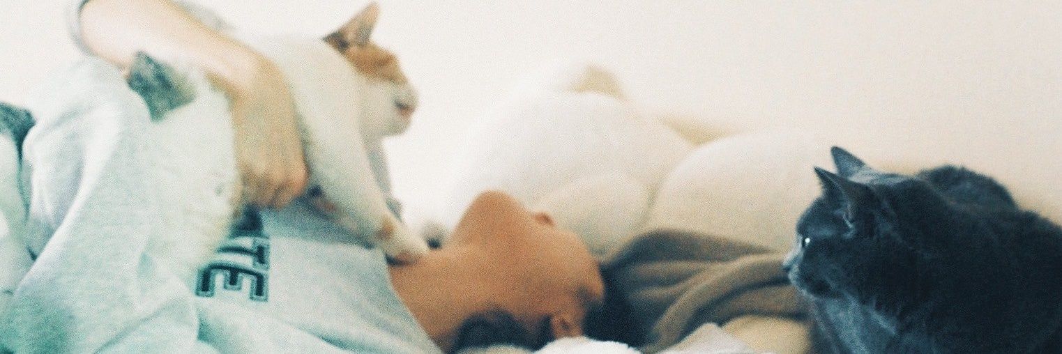 円井わん Wan Marui banner