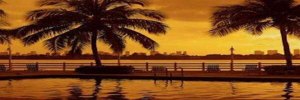 247miami's profile banner image