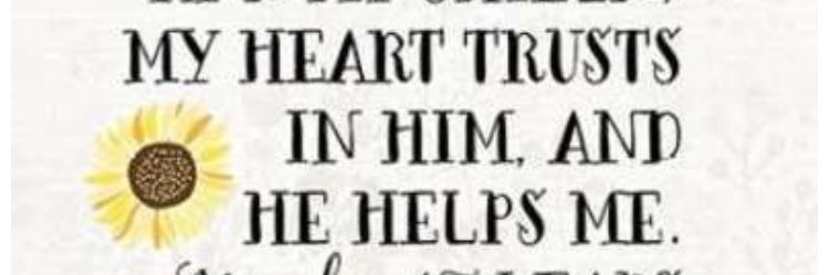 Krista Bailey 🦋 banner