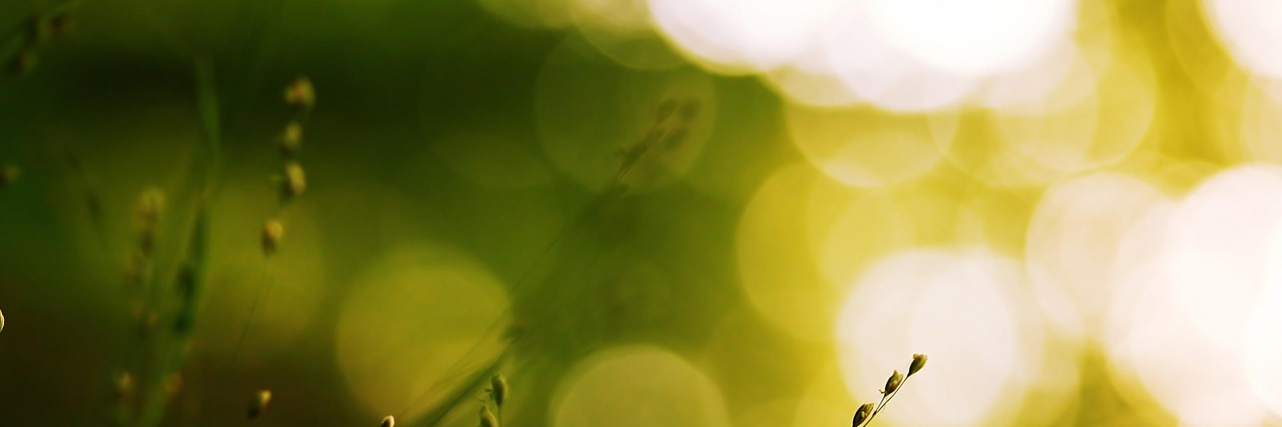 ErikaZorge's profile banner image