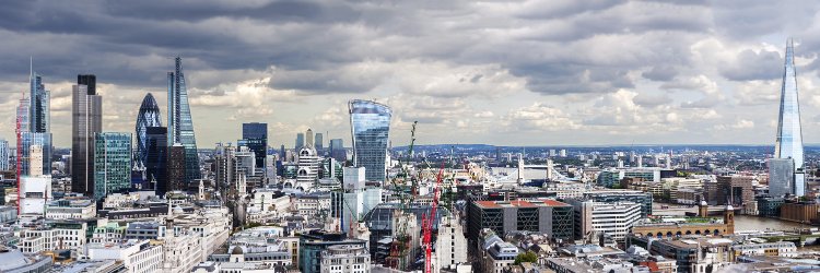 Centre for Sustainable Finance banner