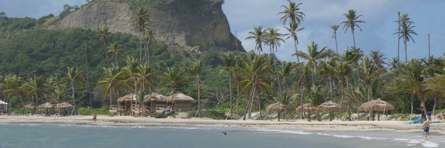 Wendy Tolhurst banner