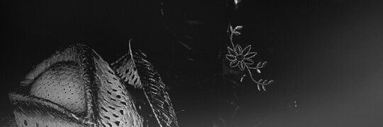 jloster's profile banner image