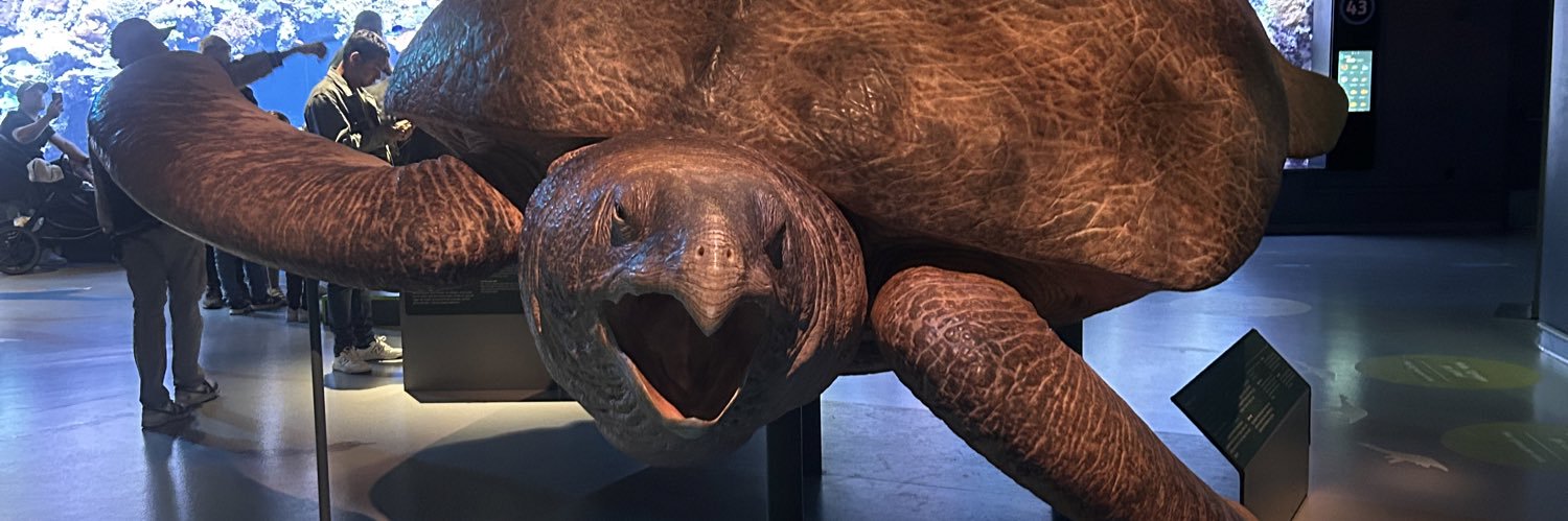 Noah ✨smoke machine✨ banner