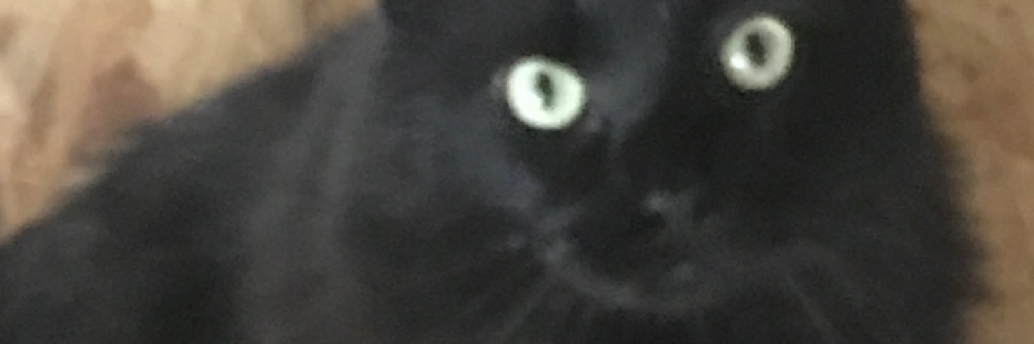 1wild4Jesus's profile banner image