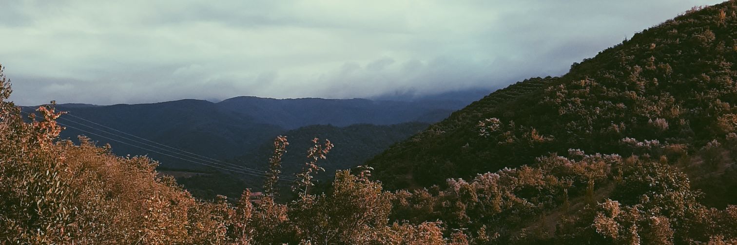 13eyzko's profile banner image