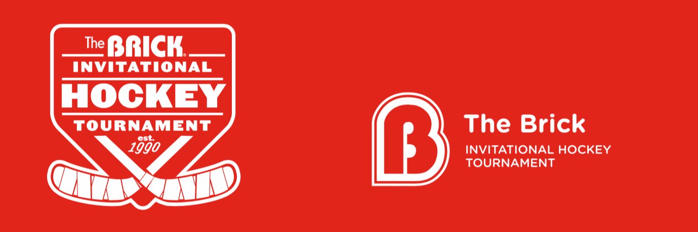 Team MN Brick 2016 banner