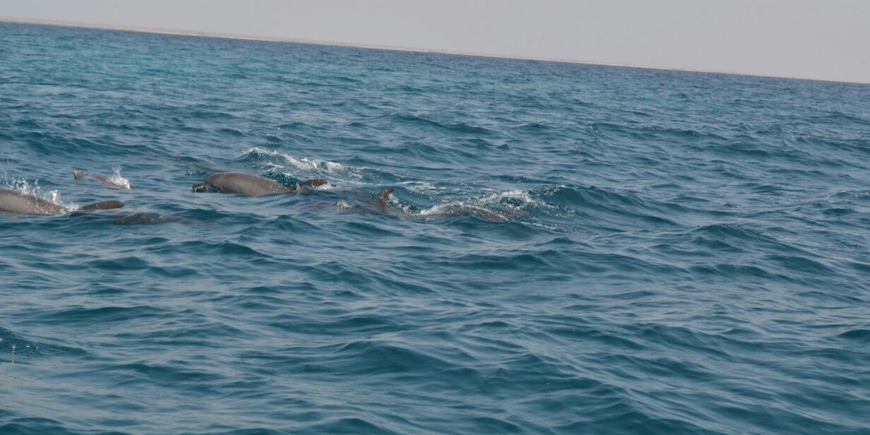 44693535's profile banner image