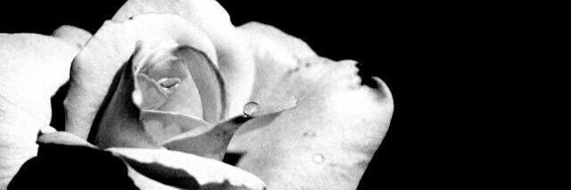 jo0od1122's profile banner image
