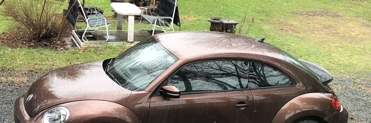 lolyunh's profile banner image