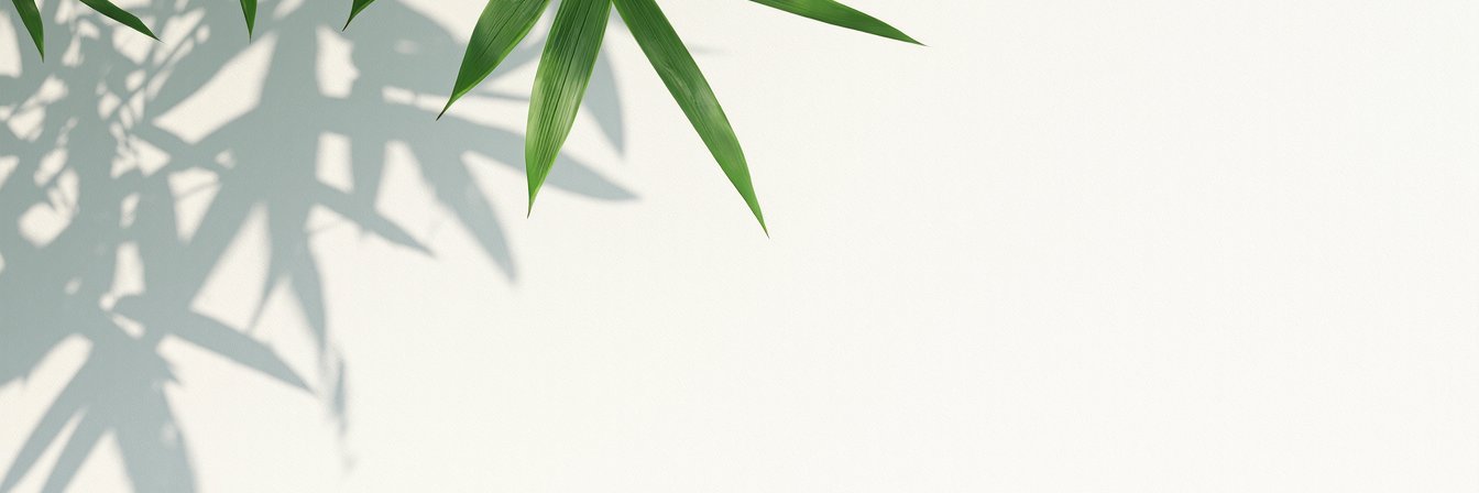 AdrienPiret's profile banner image