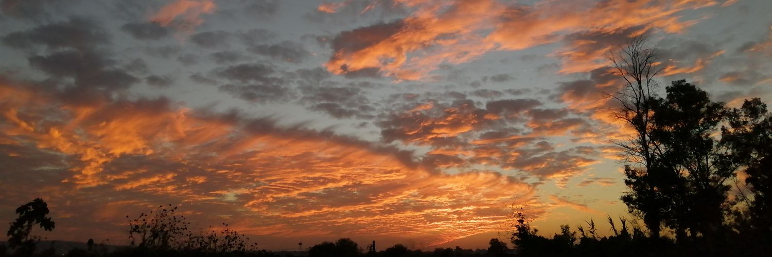 RodriguezChema1's profile banner image