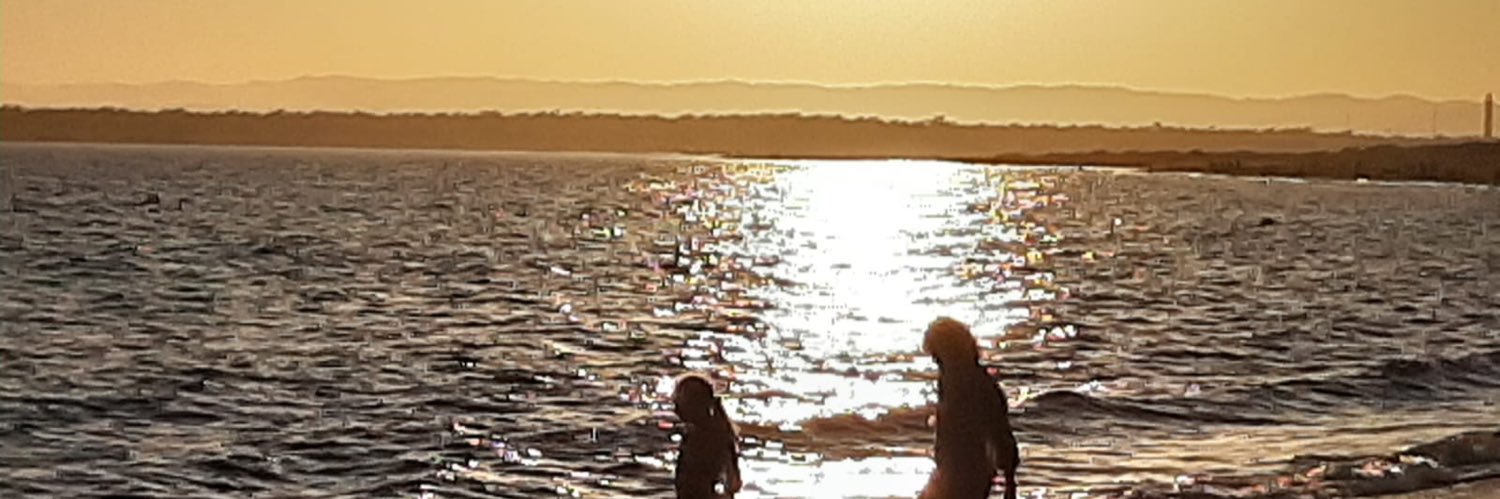 Mª Dolores del Toro banner