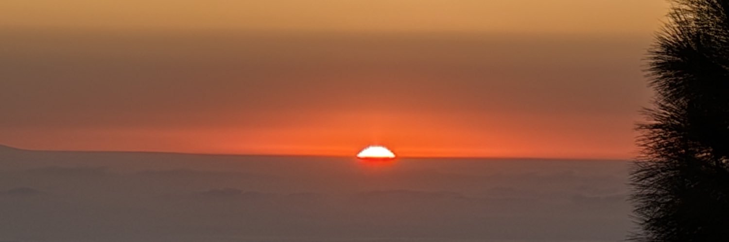 SAGOAK's profile banner image