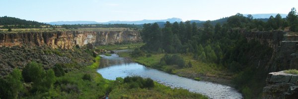 MuseumMaxwell Profile Banner