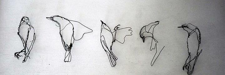 Brussels Crow 🇹🇷🇧🇪🇪🇺 banner