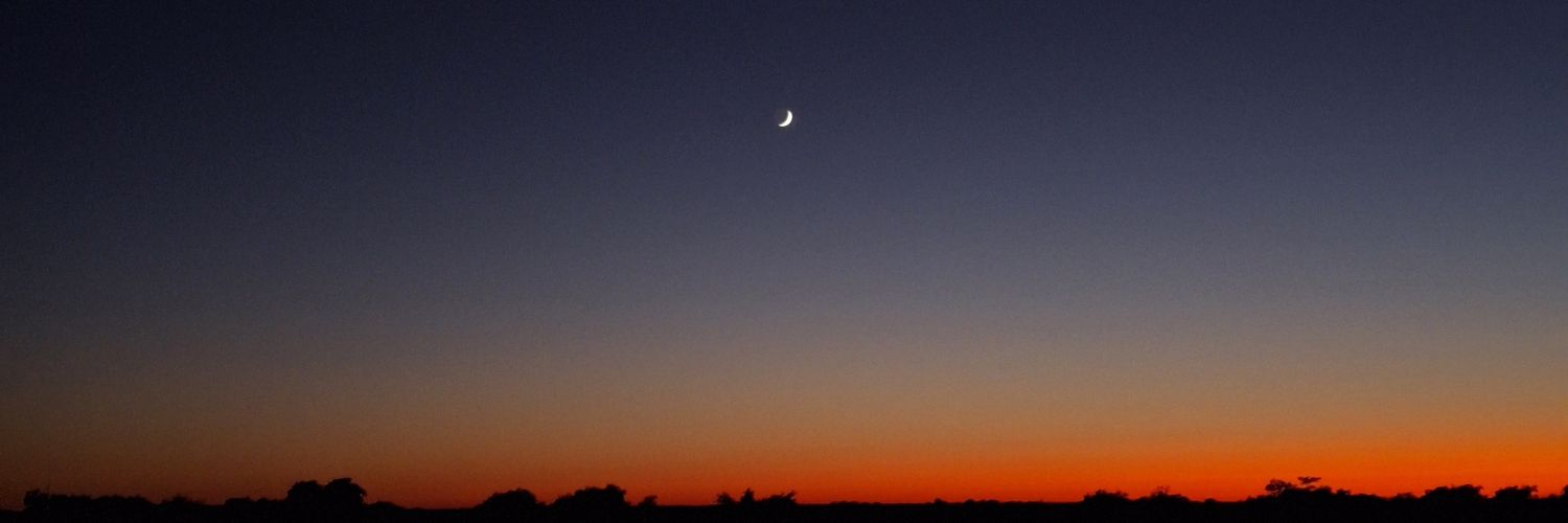 sofbaumgartner's profile banner image