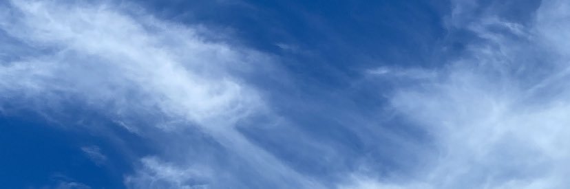 FlaviaRoCorrea's profile banner image
