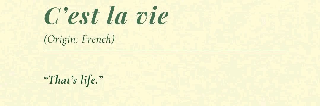 _Olanbiwoninu's profile banner image