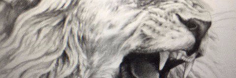 STOP THE WHO! togetherdeclaration.org banner