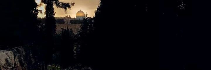 dody_hashim's profile banner image