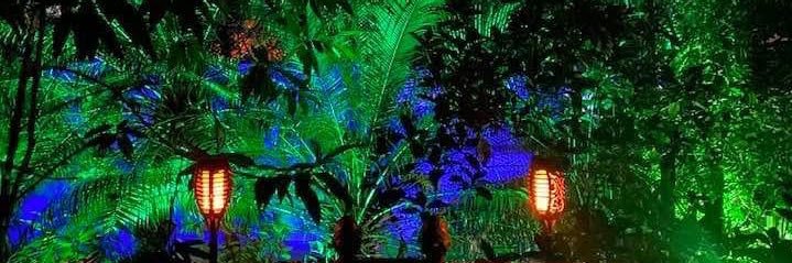 LeTrind's profile banner image