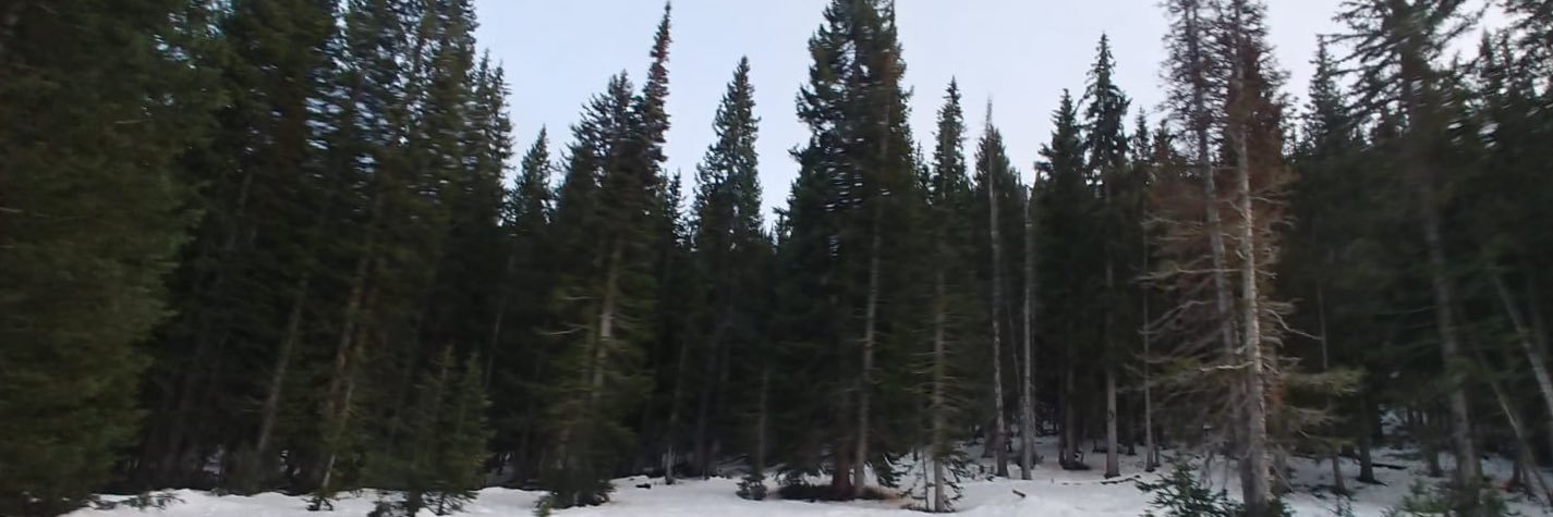 leyn16's profile banner image