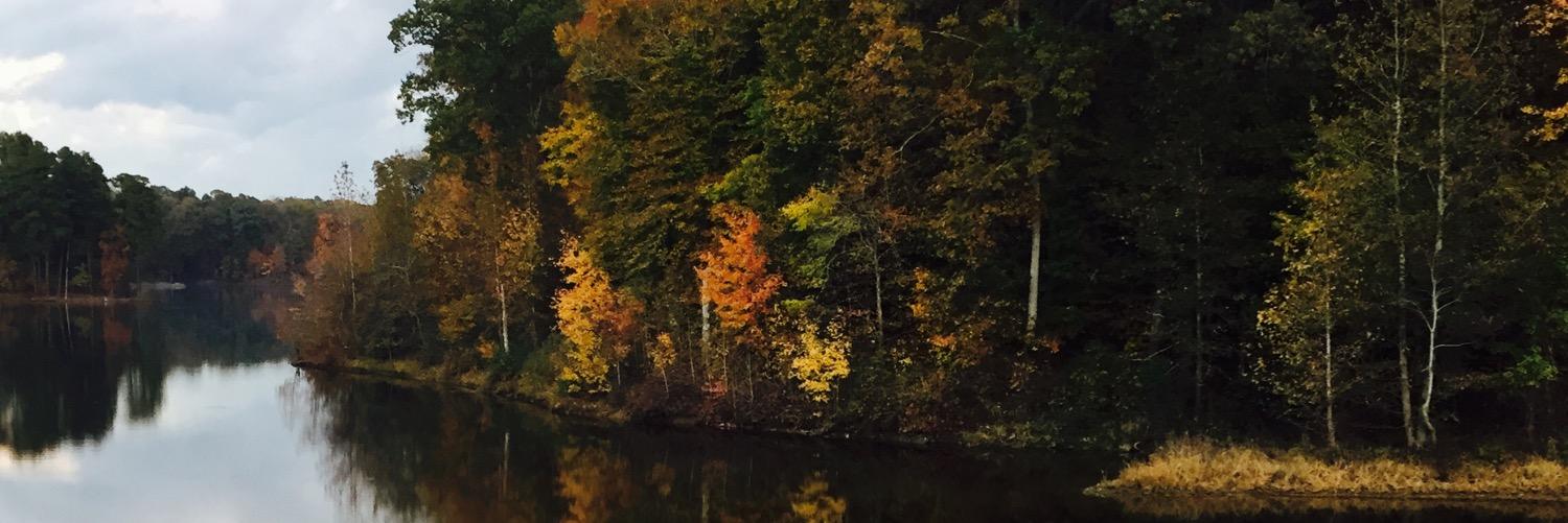 krista chern banner
