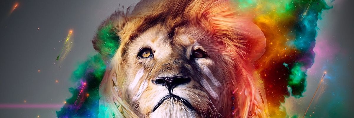 Frouki 🦁's banner