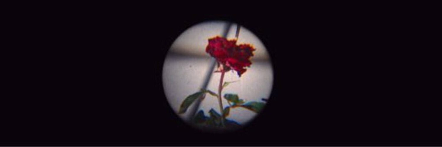 harrymiIas's profile banner image