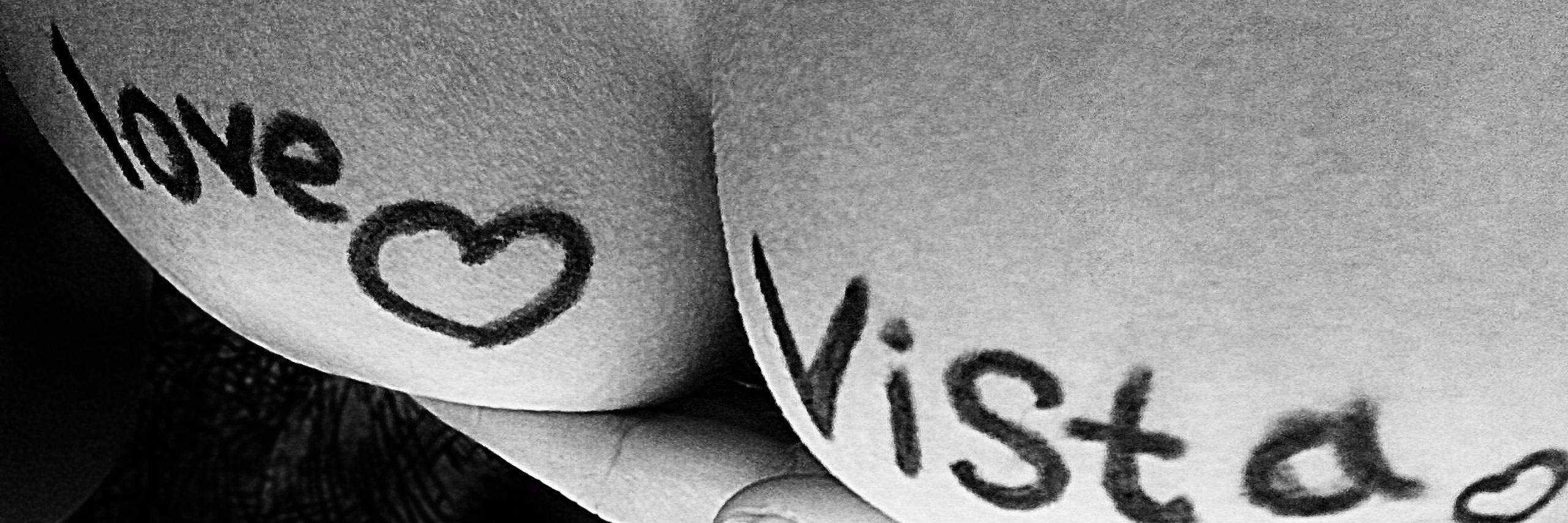 VistaRulit's profile banner image