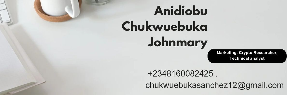 Anidiobu Chukwuebuka Johnmary banner