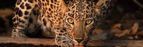 ShemMacharia's profile banner image