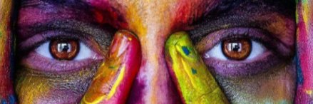 Norman L. Bliss banner