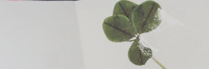 bethgracemilner's profile banner image