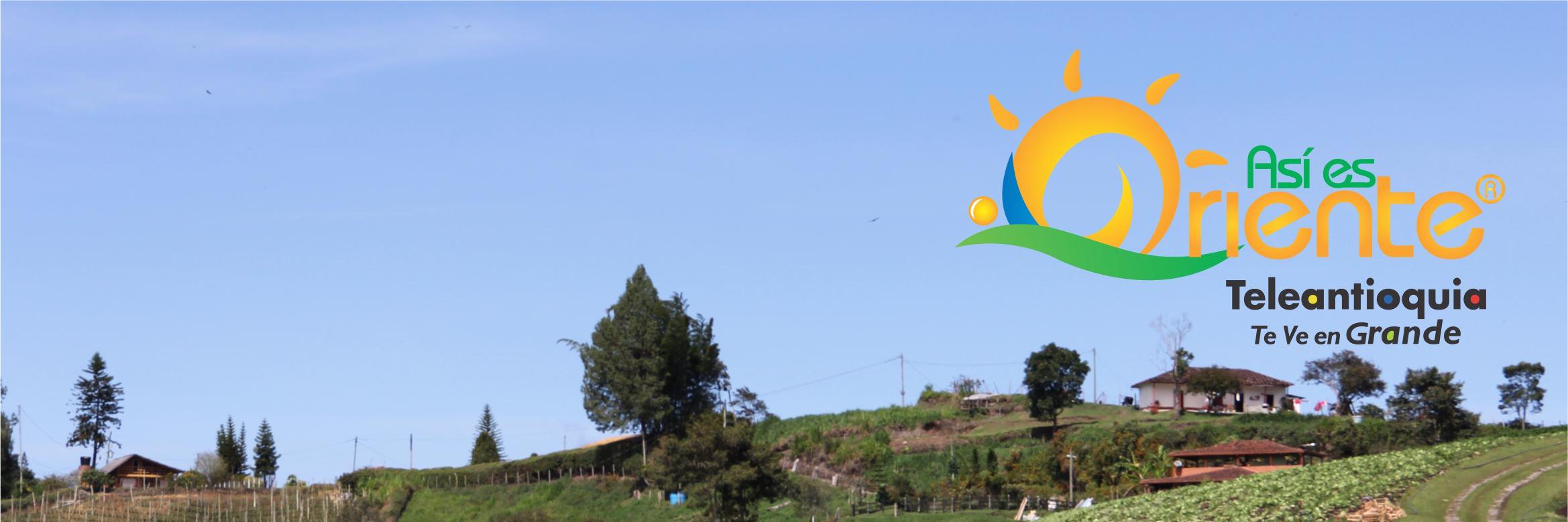 asiesoriente's profile banner image